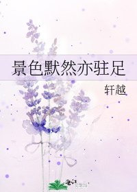 景色默然亦驻足