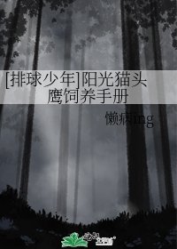 [排球少年同人]阳光猫头鹰饲养手册